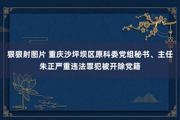 狠狠射图片 重庆沙坪坝区原科委党组秘书、主任朱正严重违法罪犯被开除党籍