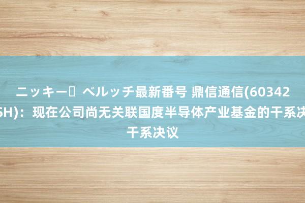 ニッキー・ベルッチ最新番号 鼎信通信(603421.SH)：现在公司尚无关联国度半导体产业基金的干系决议