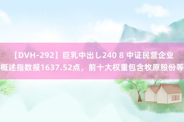 【DVH-292】巨乳中出し240 8 中证民营企业概述指数报1637.52点，前十大权重包含牧原股份等