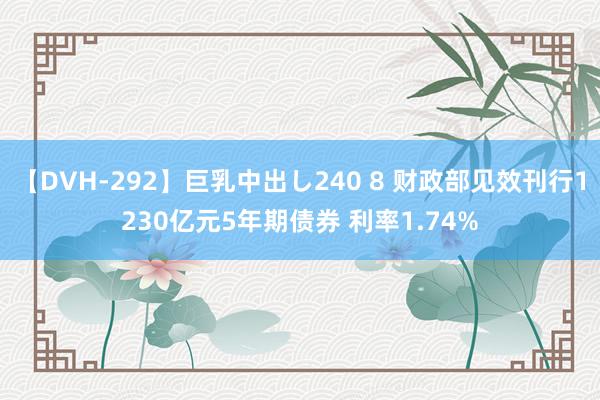 【DVH-292】巨乳中出し240 8 财政部见效刊行1230亿元5年期债券 利率1.74%