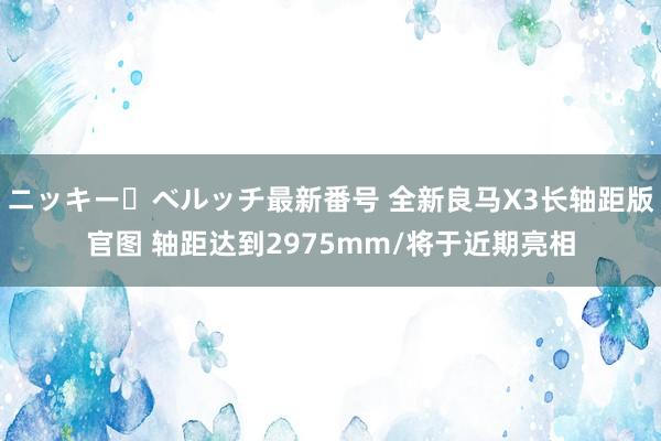 ニッキー・ベルッチ最新番号 全新良马X3长轴距版官图 轴距达到2975mm/将于近期亮相