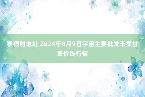 狠狠射地址 2024年8月9日宇宙主要批发市集甘薯价钱行情