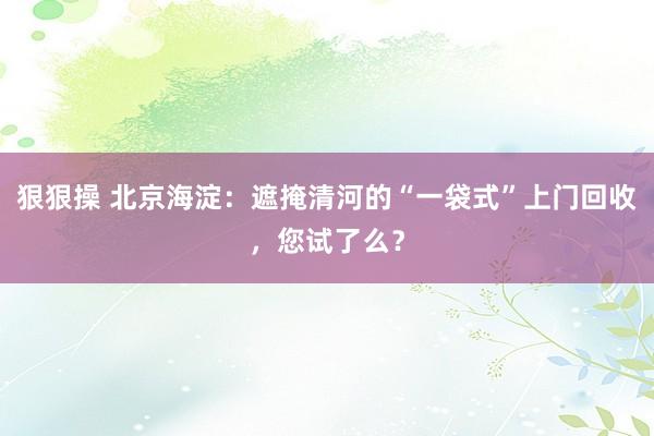 狠狠操 北京海淀：遮掩清河的“一袋式”上门回收，您试了么？