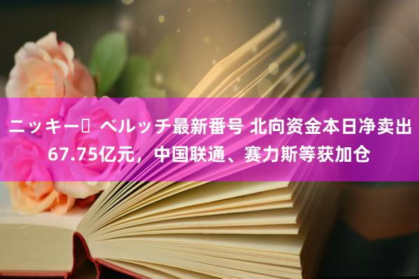 ニッキー・ベルッチ最新番号 北向资金本日净卖出67.75亿元，中国联通、赛力斯等获加仓