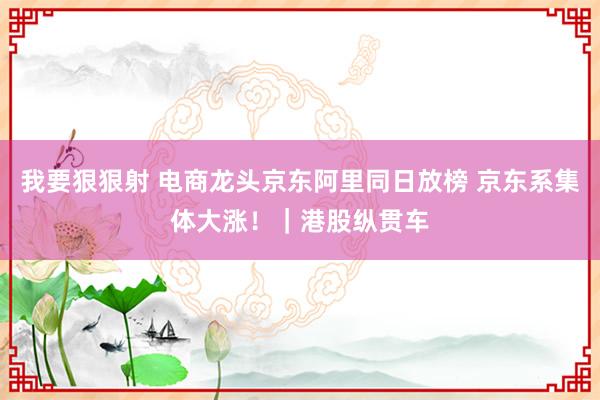 我要狠狠射 电商龙头京东阿里同日放榜 京东系集体大涨！｜港股纵贯车