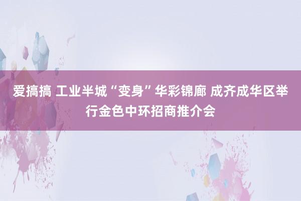 爱搞搞 工业半城“变身”华彩锦廊 成齐成华区举行金色中环招商推介会