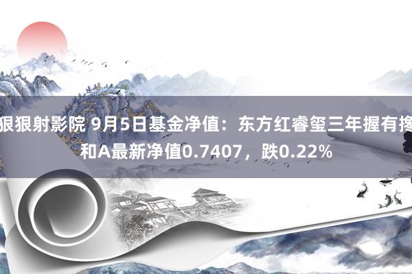 狠狠射影院 9月5日基金净值：东方红睿玺三年握有搀和A最新净值0.7407，跌0.22%