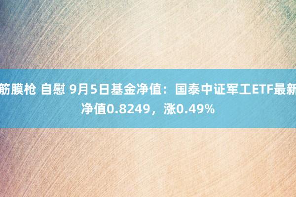 筋膜枪 自慰 9月5日基金净值：国泰中证军工ETF最新净值0.8249，涨0.49%