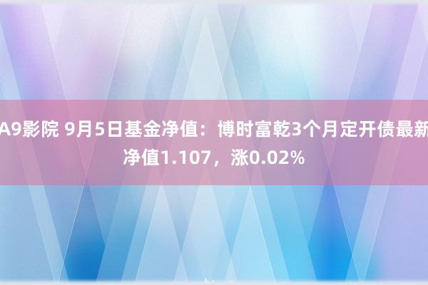 A9影院 9月5日基金净值：博时富乾3个月定开债最新净值1.107，涨0.02%