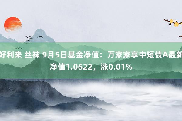 好利来 丝袜 9月5日基金净值：万家家享中短债A最新净值1.0622，涨0.01%