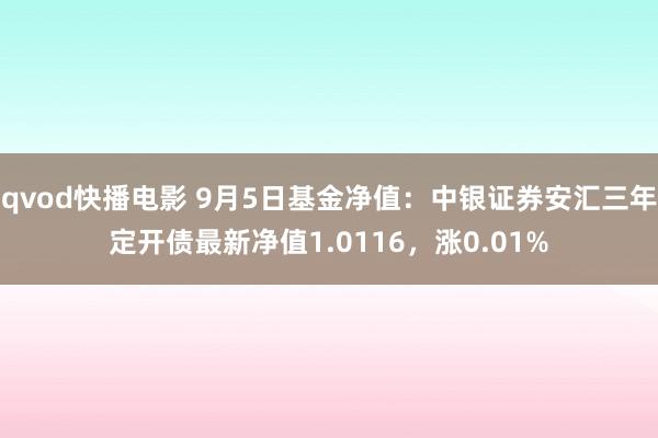 qvod快播电影 9月5日基金净值：中银证券安汇三年定开债最新净值1.0116，涨0.01%