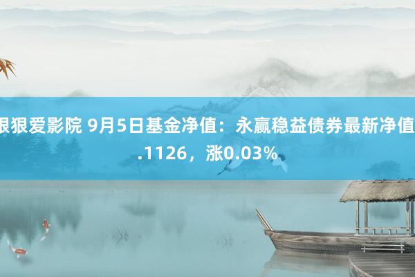 狠狠爱影院 9月5日基金净值：永赢稳益债券最新净值1.1126，涨0.03%