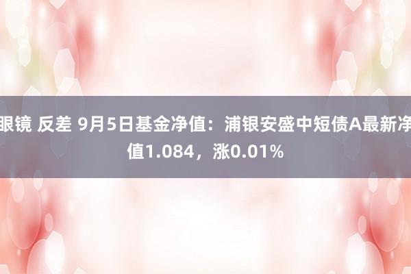 眼镜 反差 9月5日基金净值：浦银安盛中短债A最新净值1.084，涨0.01%