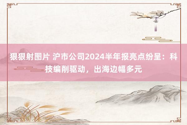 狠狠射图片 沪市公司2024半年报亮点纷呈：科技编削驱动，出海边幅多元