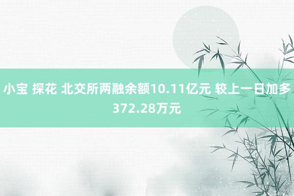 小宝 探花 北交所两融余额10.11亿元 较上一日加多372.28万元