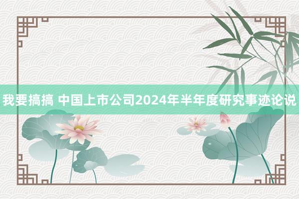 我要搞搞 中国上市公司2024年半年度研究事迹论说