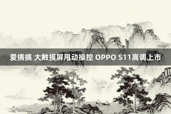 爱搞搞 大触摸屏甩动操控 OPPO S11高调上市