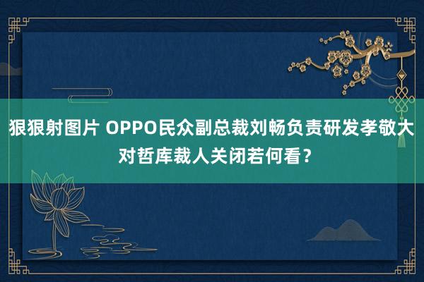 狠狠射图片 OPPO民众副总裁刘畅负责研发孝敬大 对哲库裁人关闭若何看？