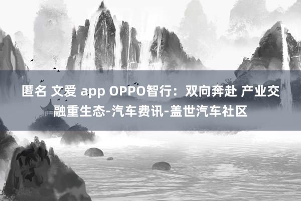 匿名 文爱 app OPPO智行：双向奔赴 产业交融重生态-汽车费讯-盖世汽车社区