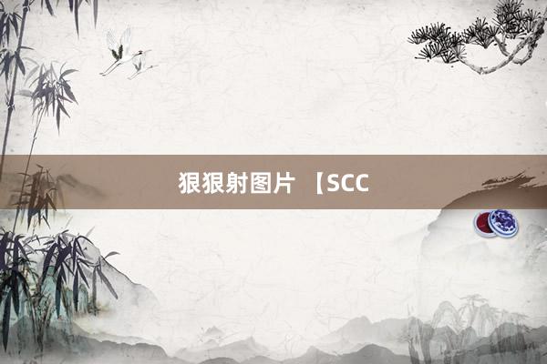 狠狠射图片 【SCC