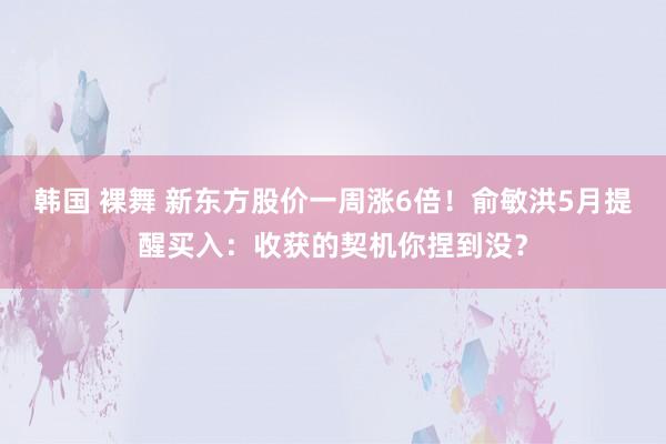 韩国 裸舞 新东方股价一周涨6倍！俞敏洪5月提醒买入：收获的契机你捏到没？